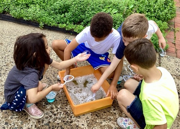 Children learning at Park Street Academy